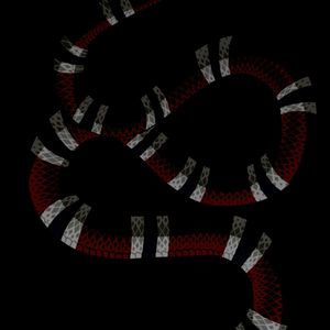 Meet your Posher, Guy